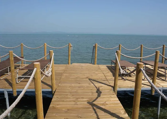 In - Balaton 20009 *